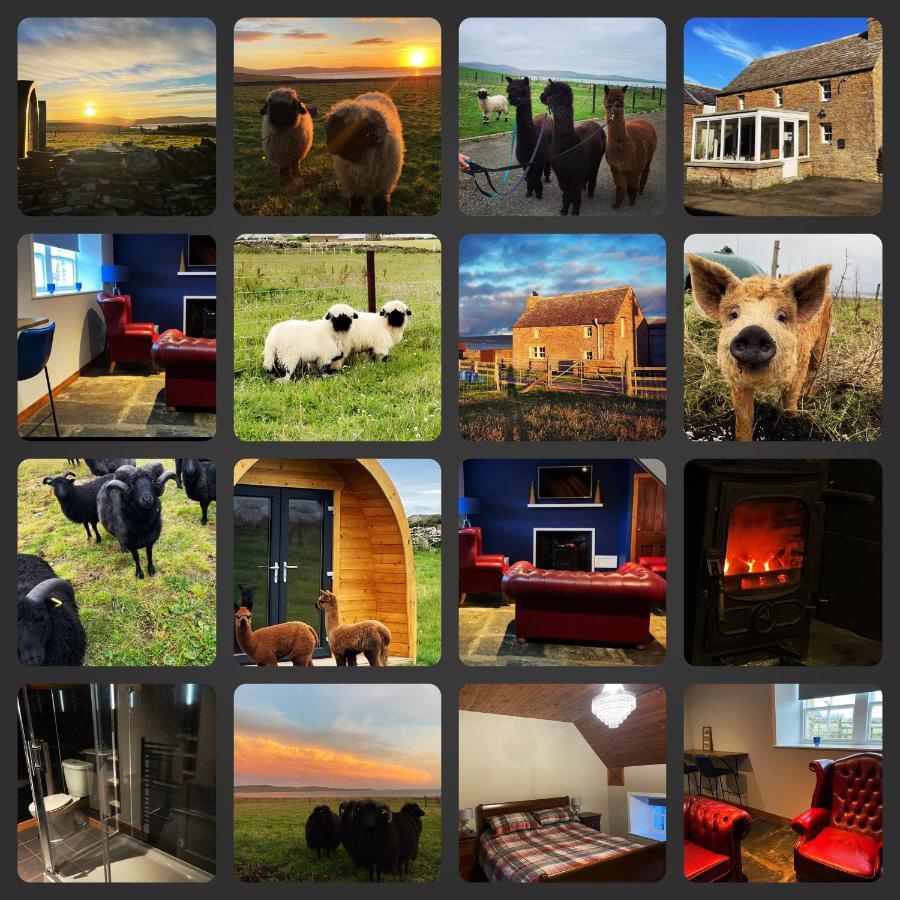 Vila Orkney Farm Bothy Stromness Exteriér fotografie